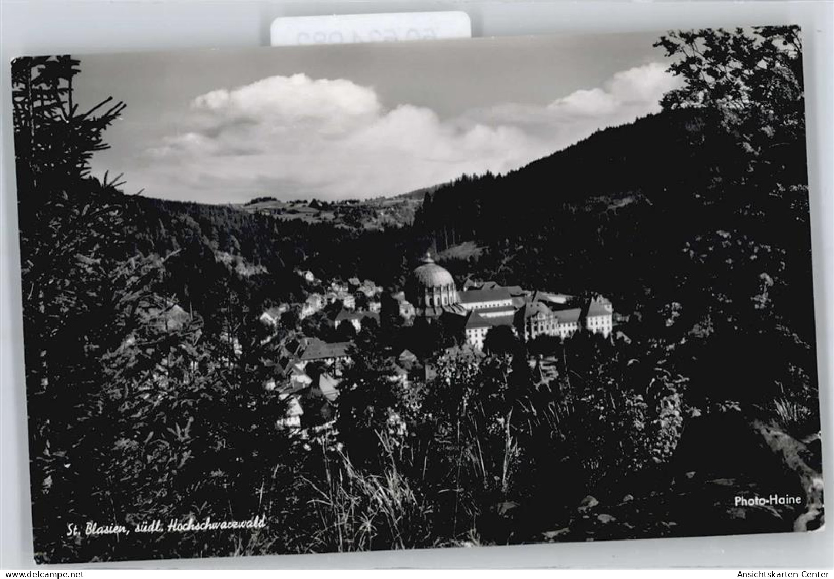 50534982 - St. Blasien