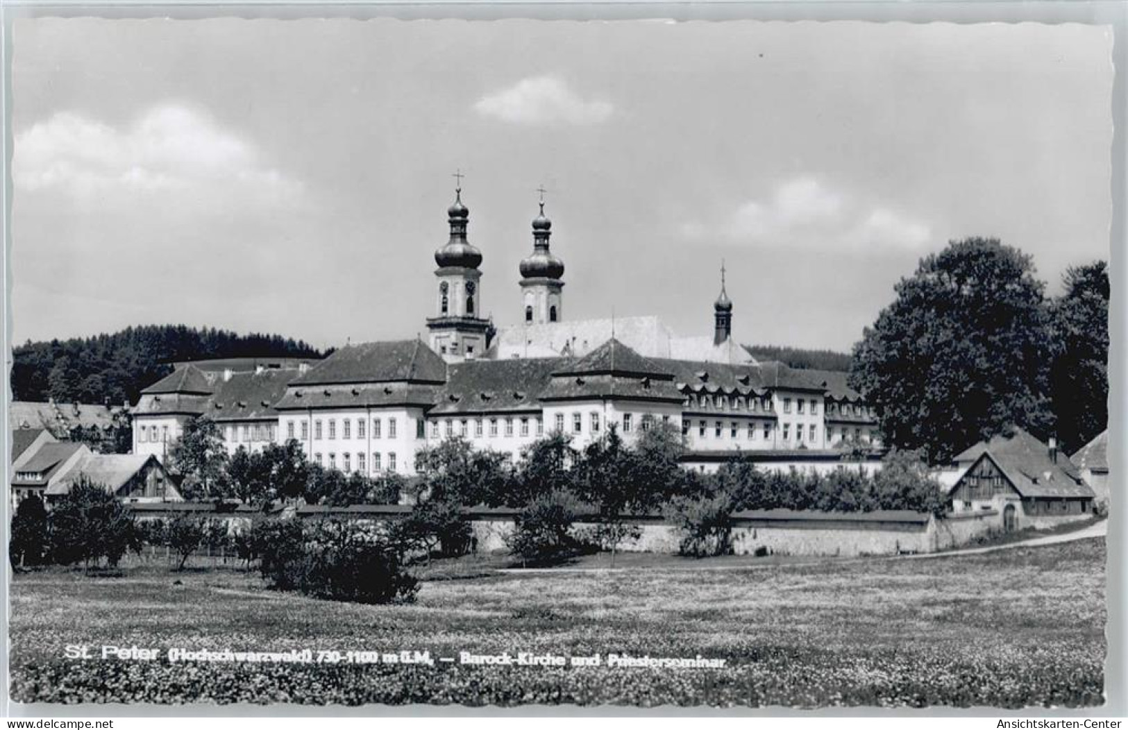 50535268 - St. Peter