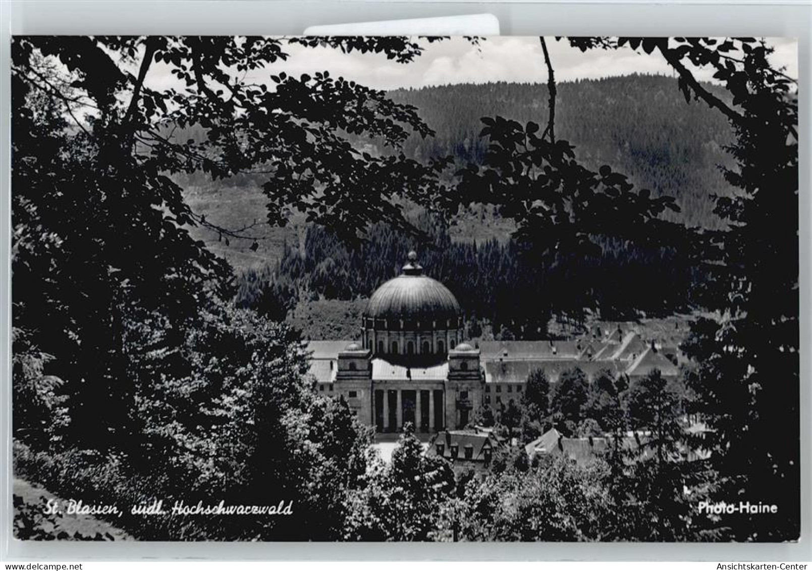 50535273 - St. Blasien