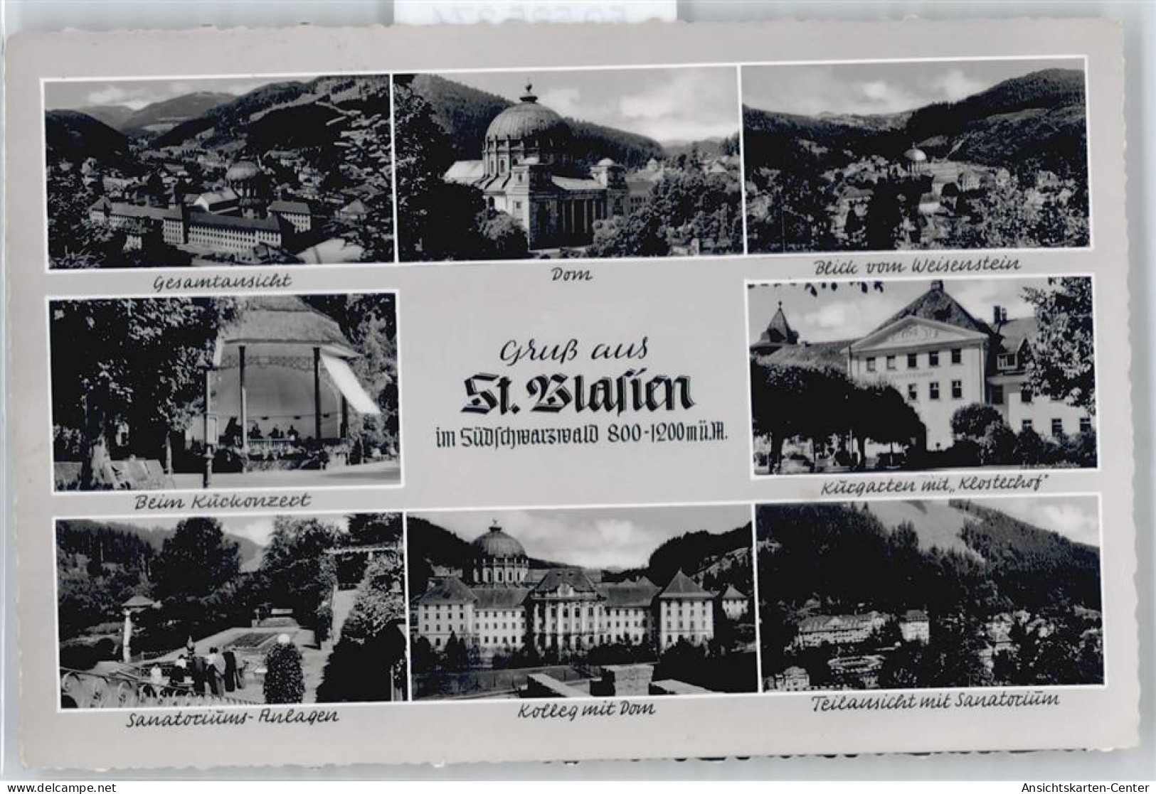 50535374 - St. Blasien