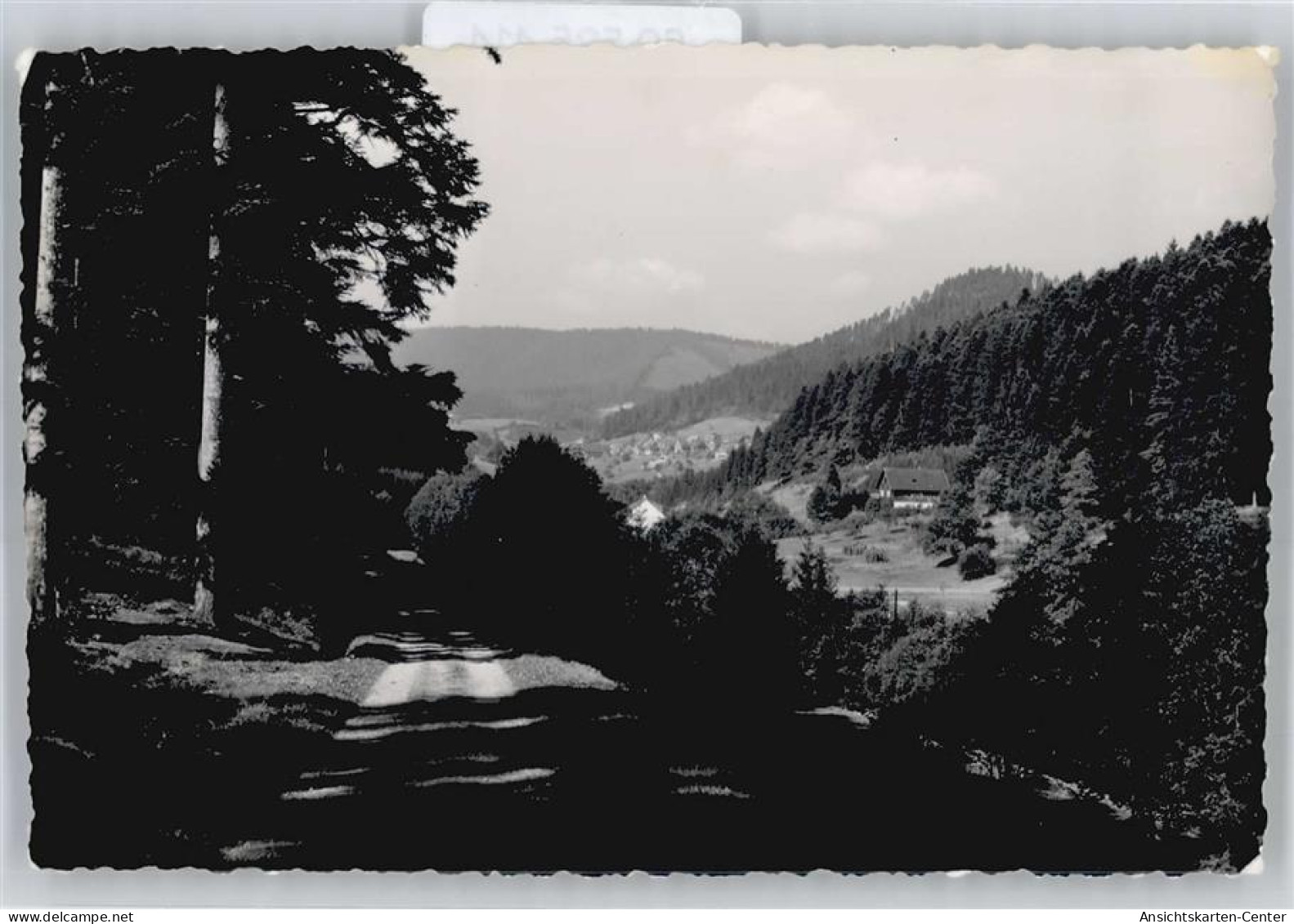 50535414 - Alpirsbach