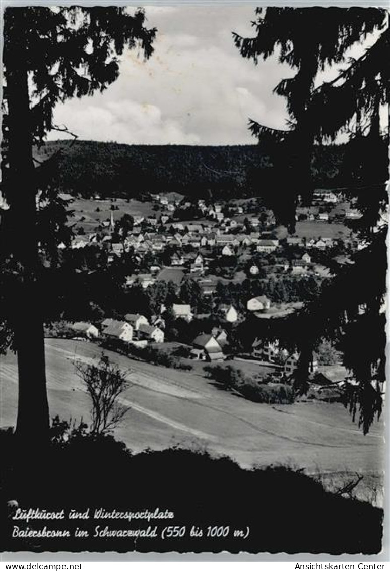 50536242 - Baiersbronn