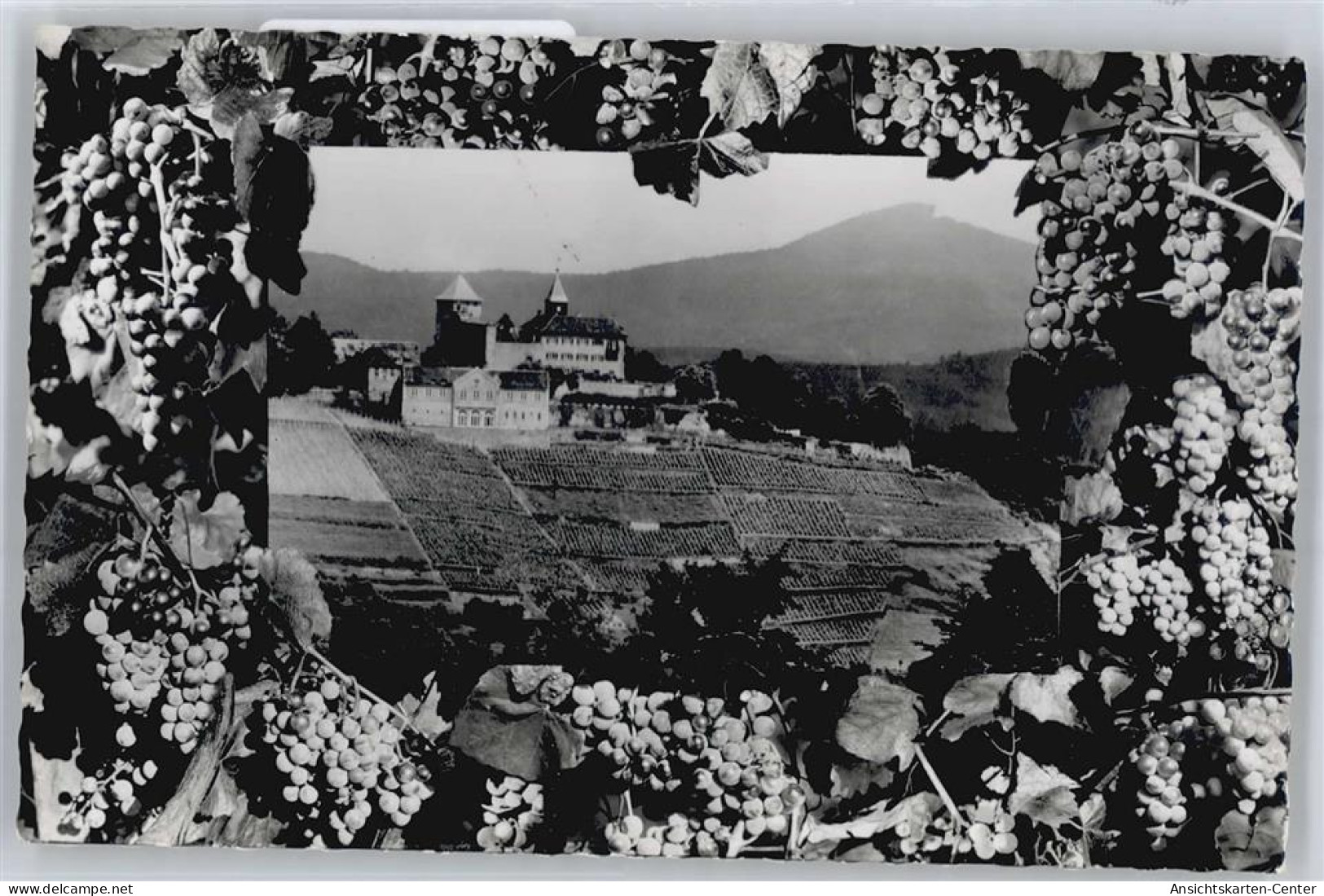 50536250 - Gernsbach