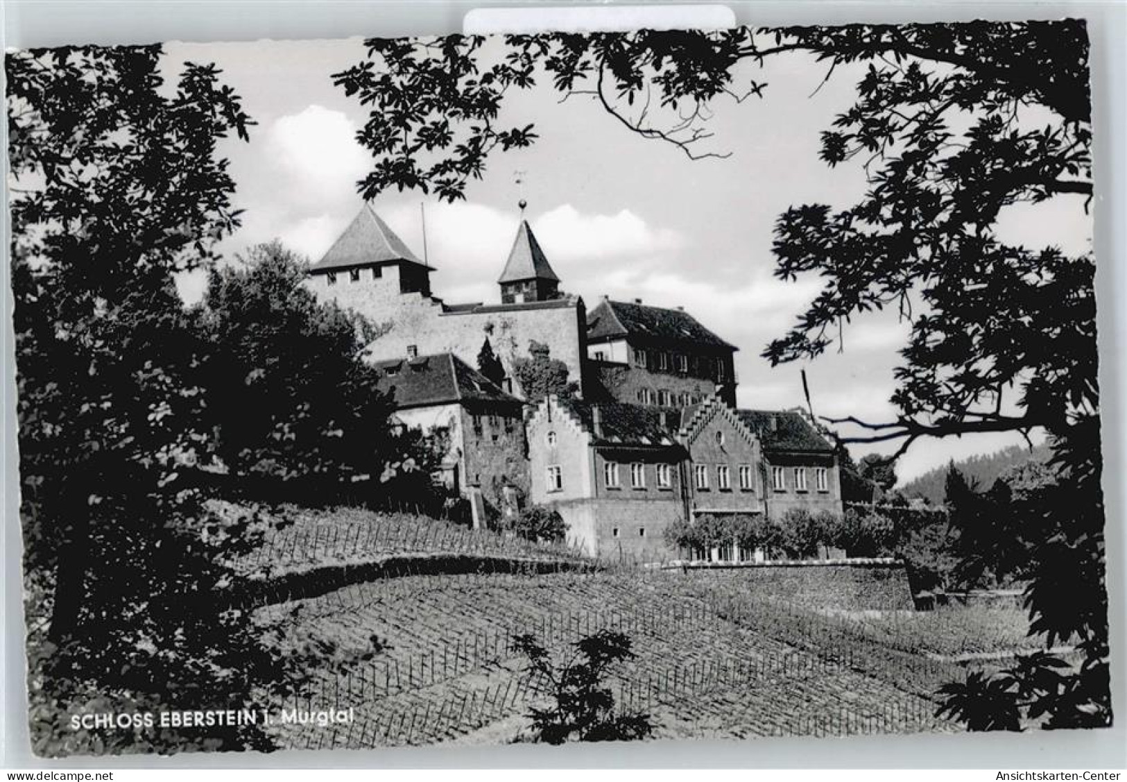 50536252 - Gernsbach