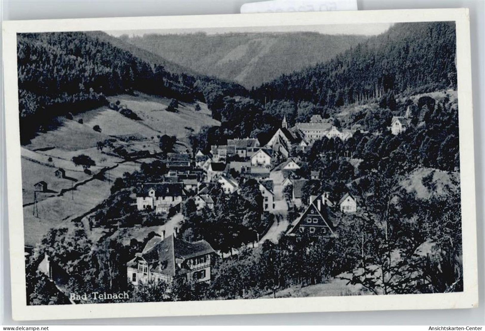 50536324 - Bad Teinach