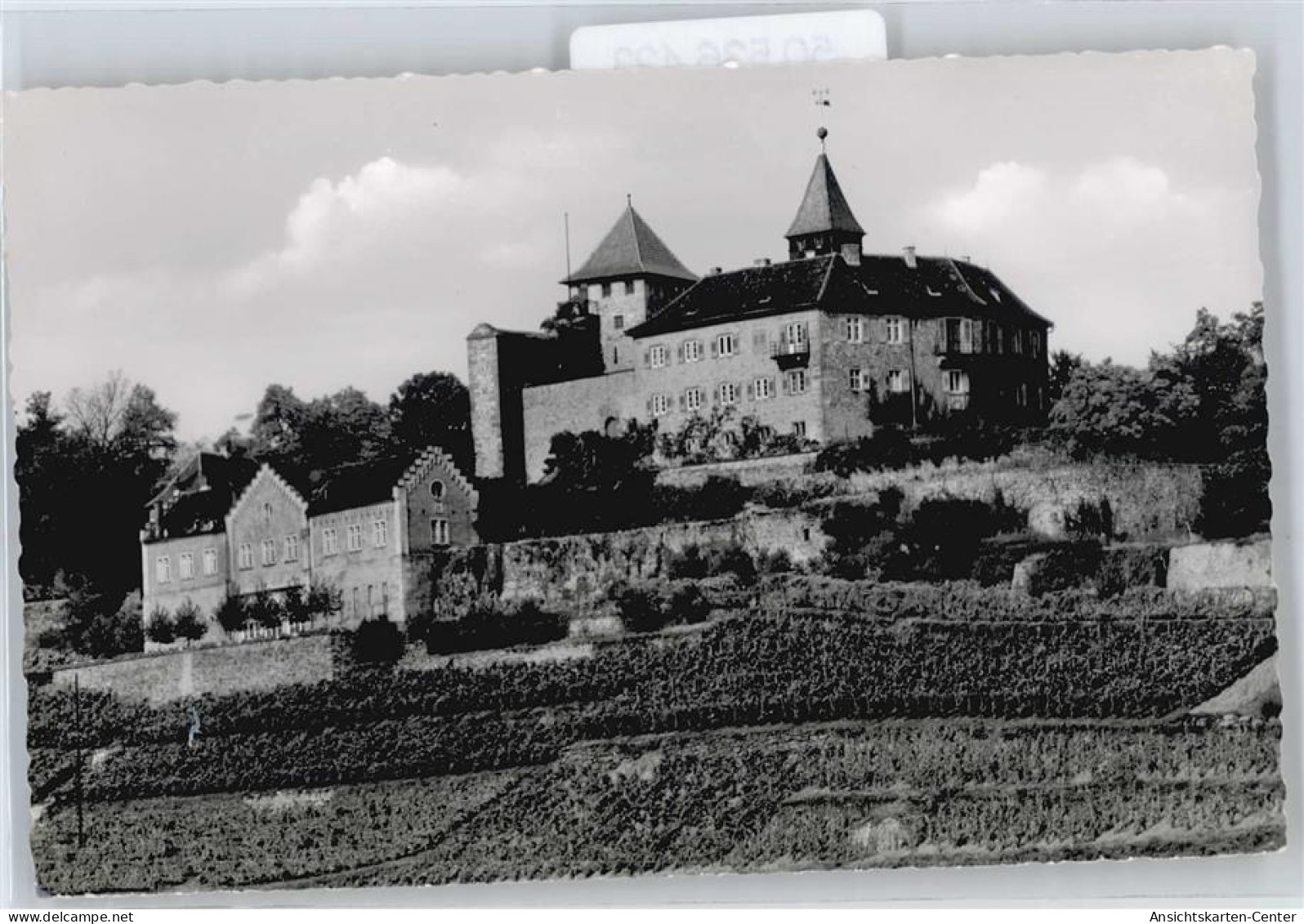 50536423 - Gernsbach