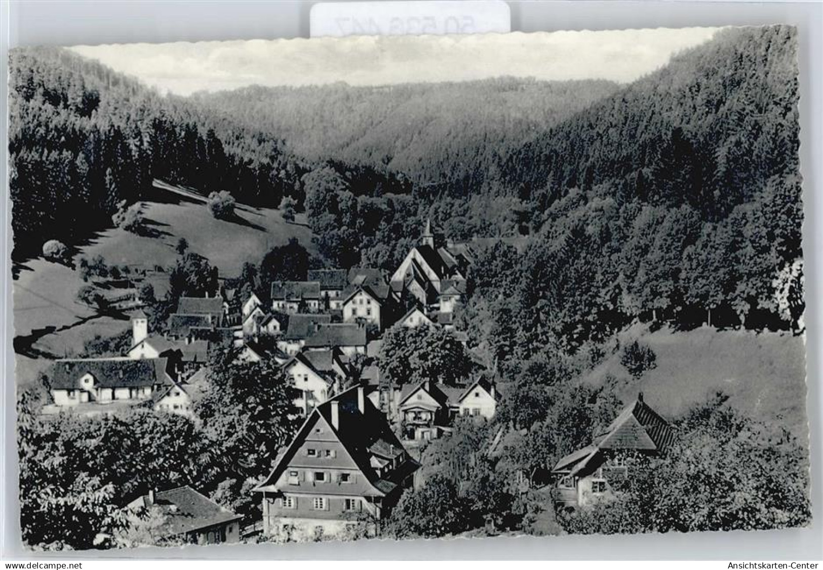 50536447 - Bad Teinach