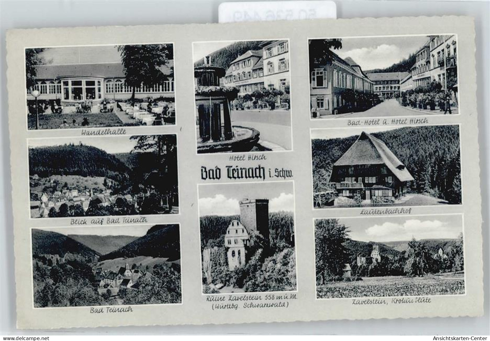 50536449 - Bad Teinach