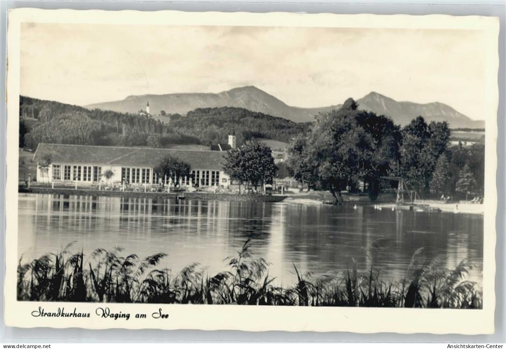 50537231 - Waging a. See