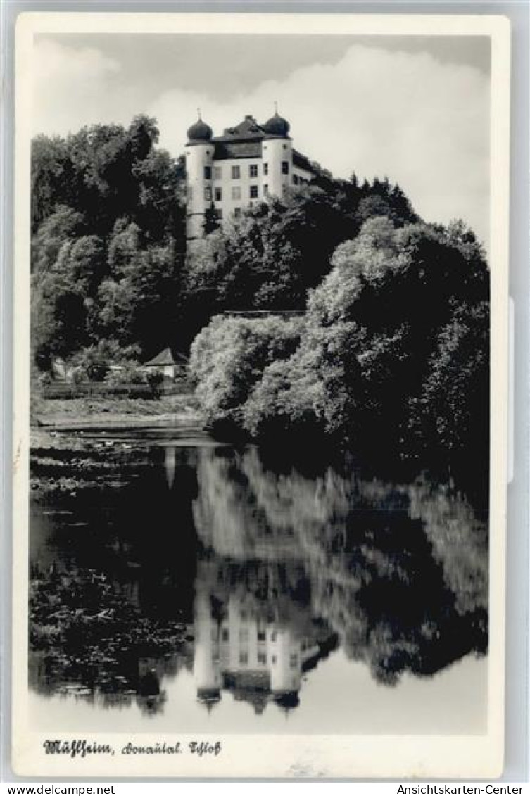 50537761 - Muehlheim an der Donau