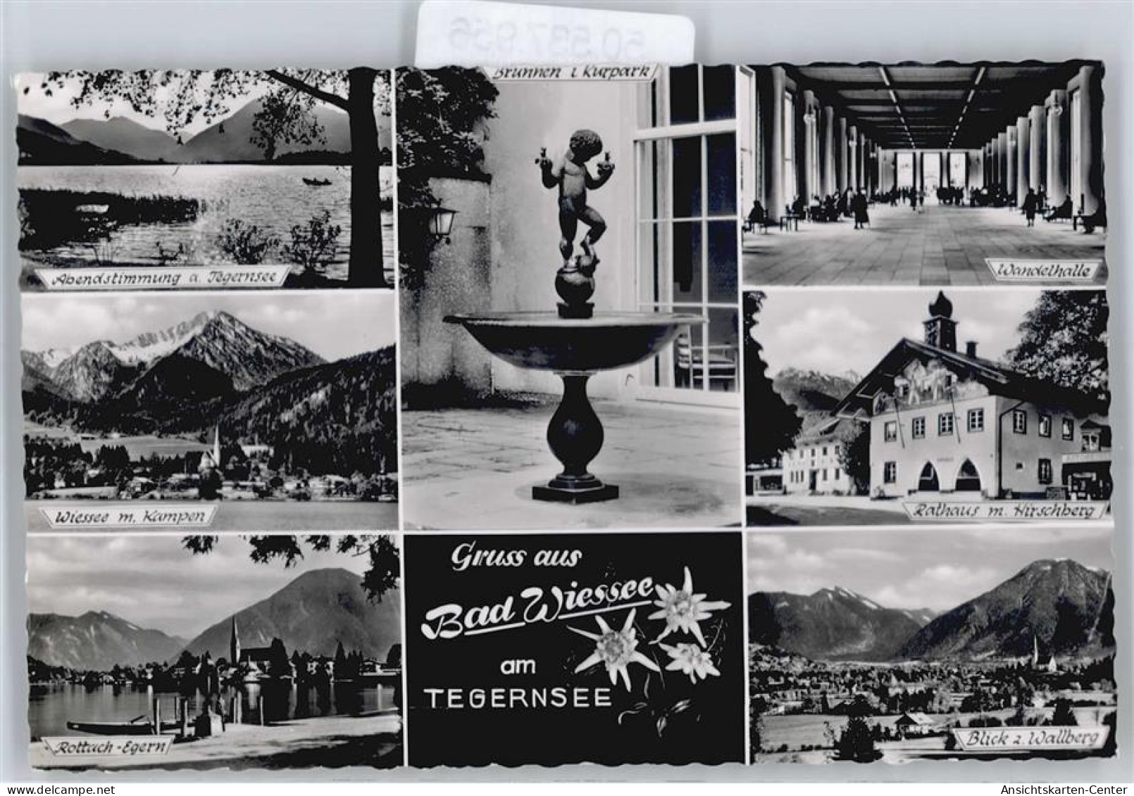 50537956 - Bad Wiessee