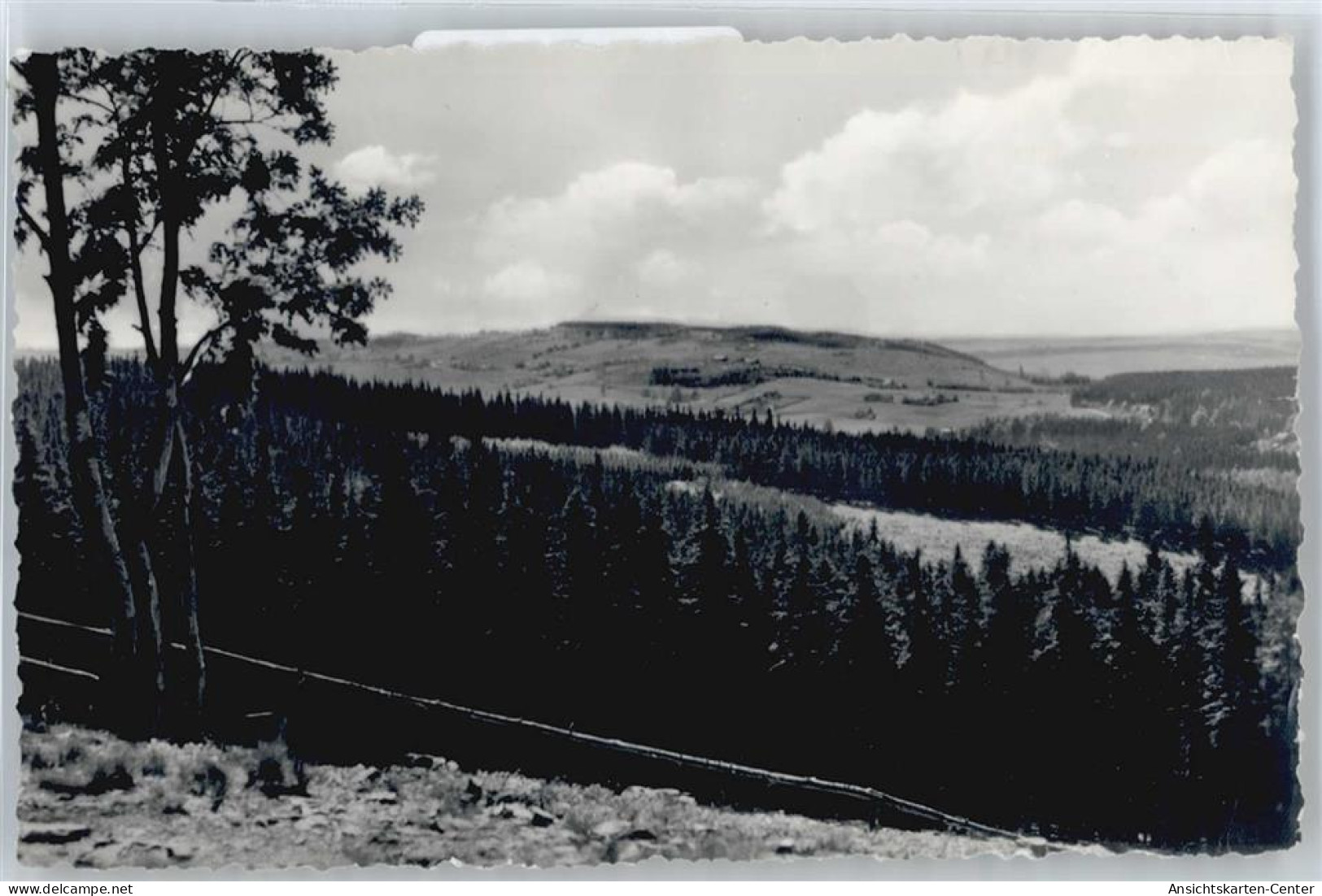 50538291 - Schellerhau