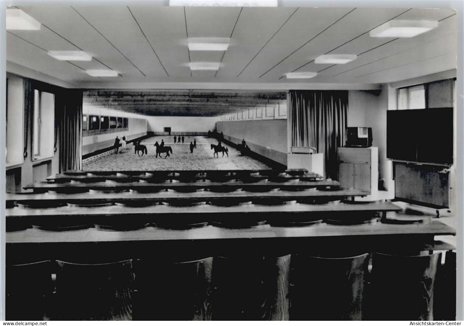 50539066 - Warendorf