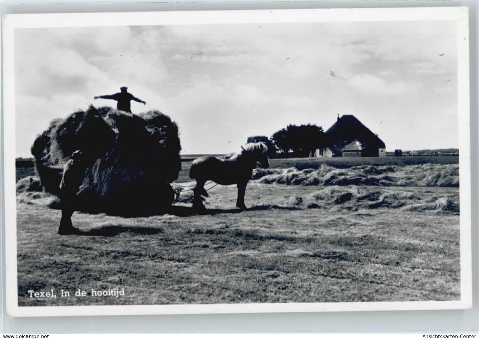 50539631 - Den Hoorn DEN HOORN TEXEL