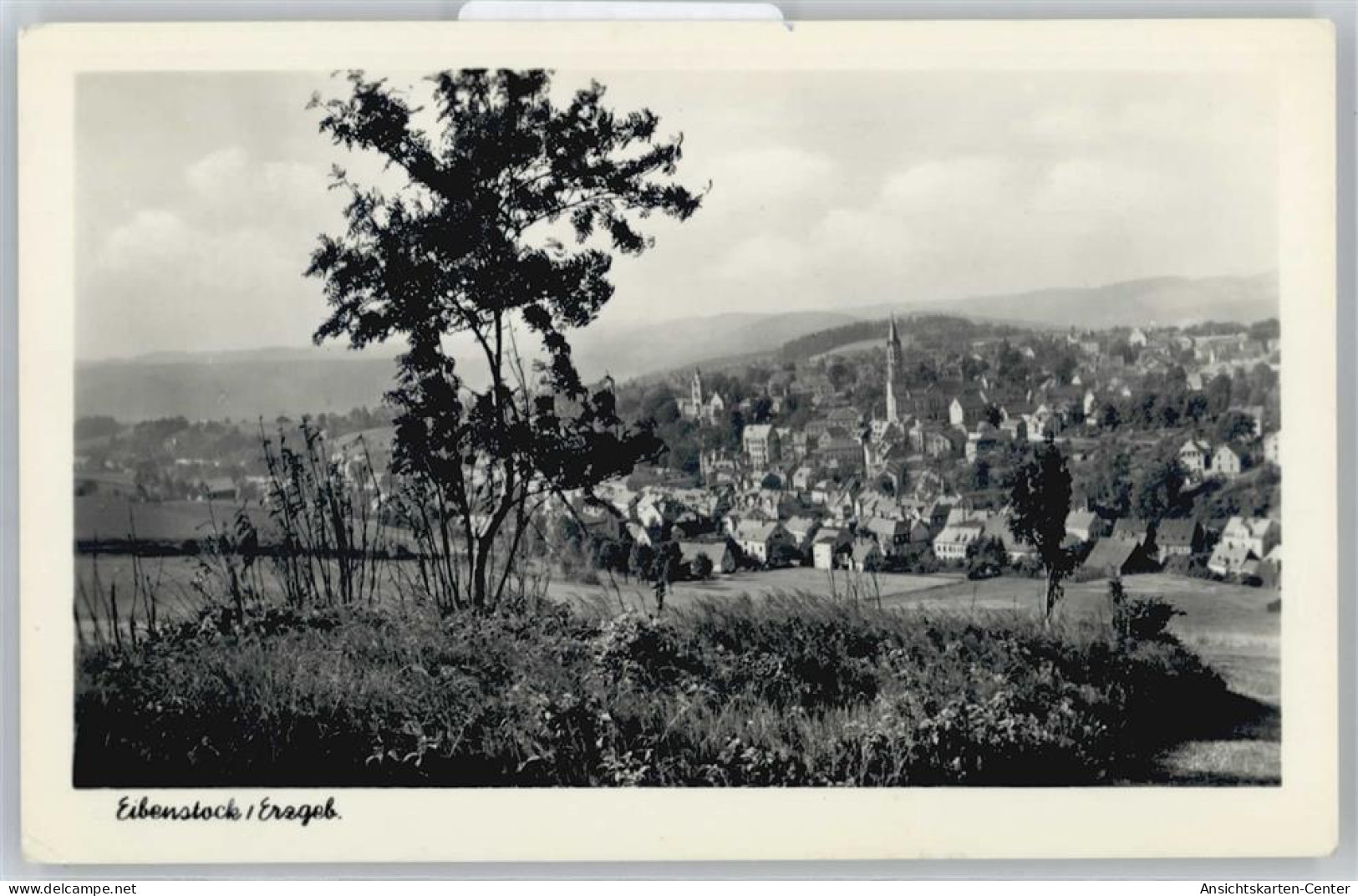 50540757 - Eibenstock