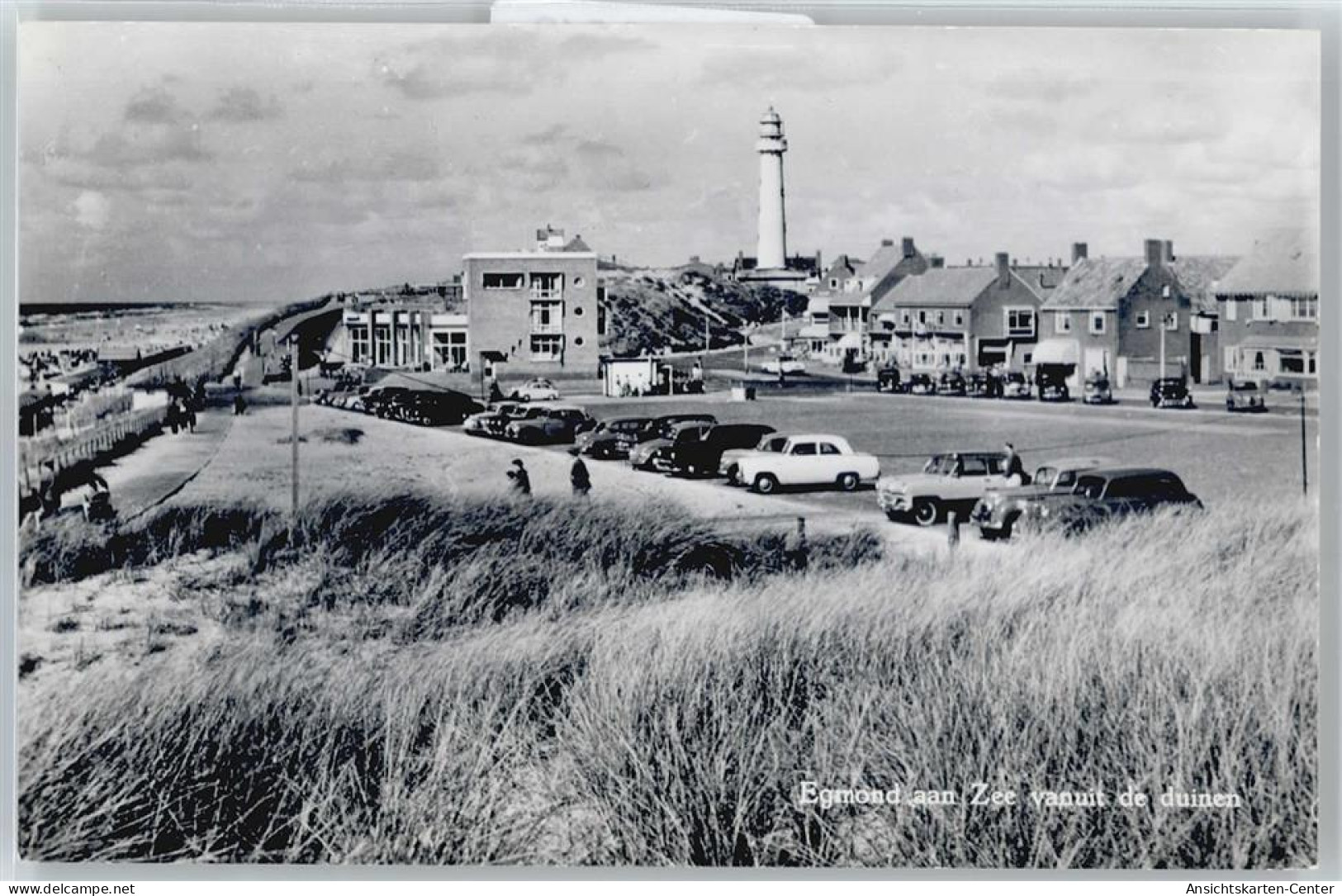 50542243 - Egmond aan Zee