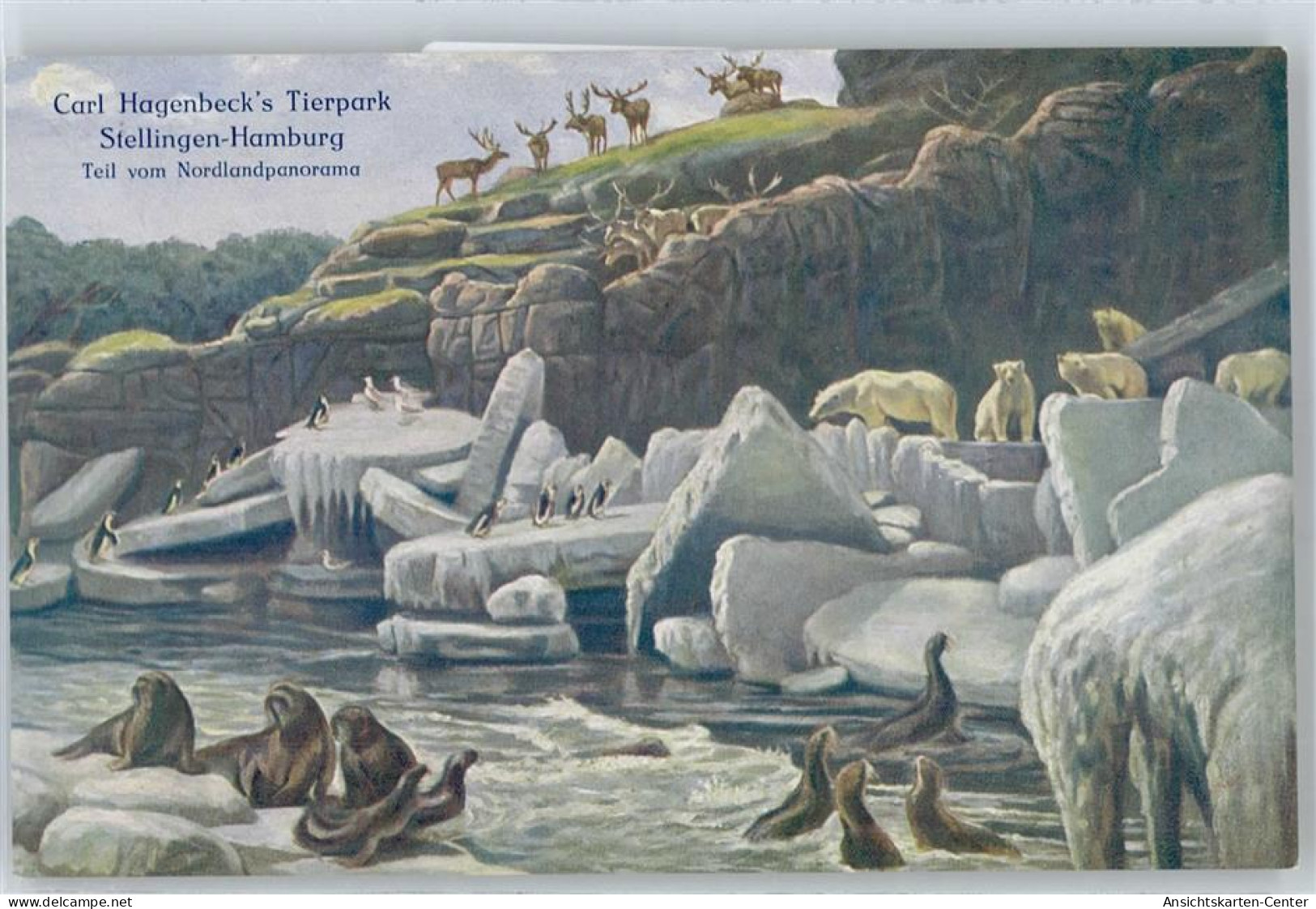 50542639 - Stellingen