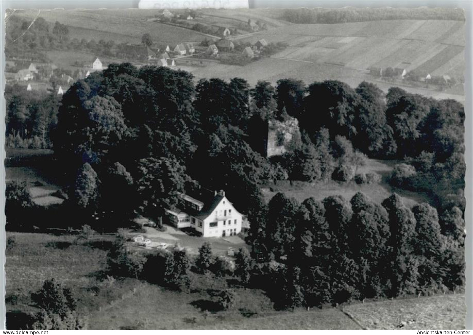 50542868 - Boerninghausen