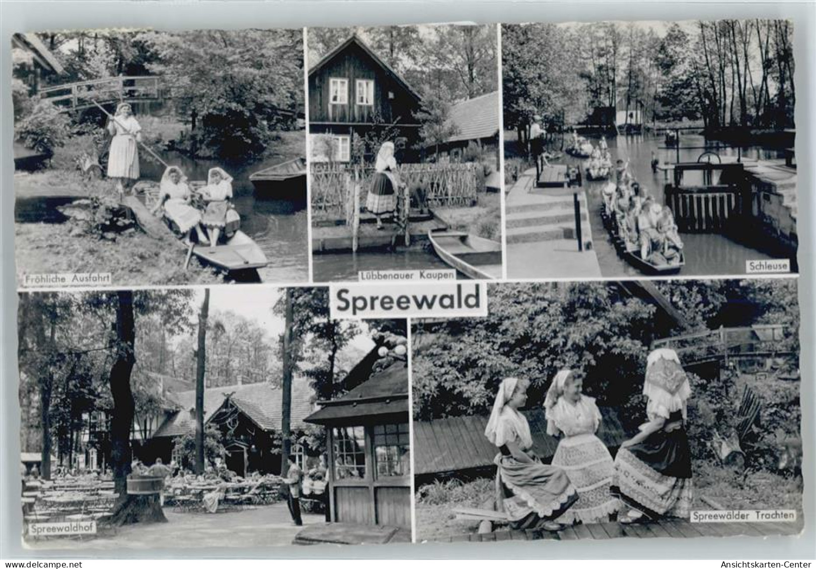 50544253 - Luebbenau