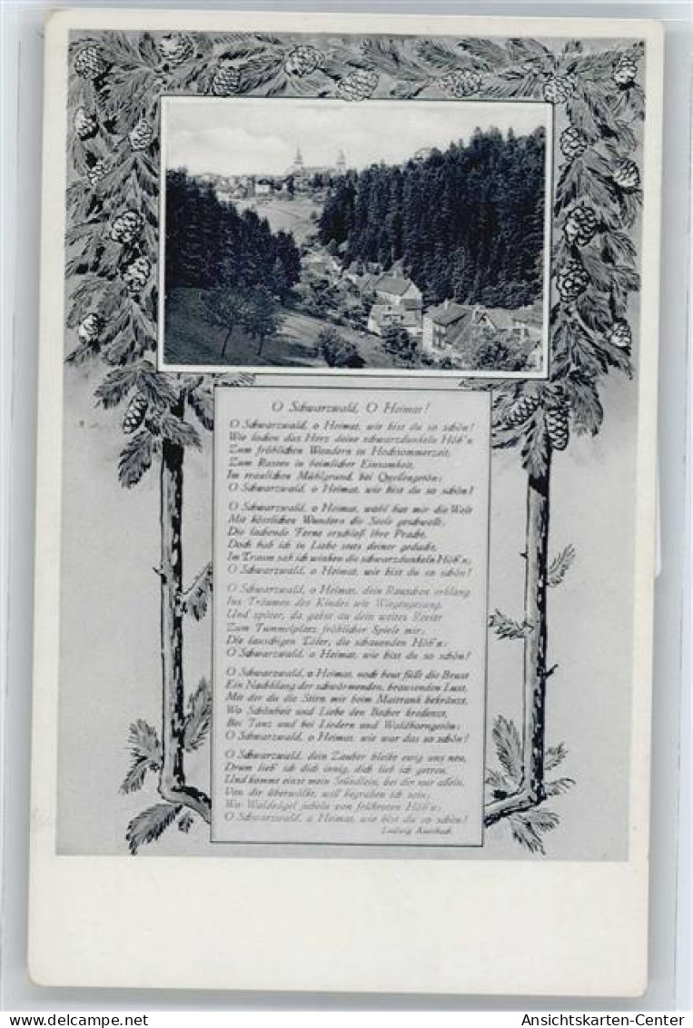 50544733 - Baiersbronn