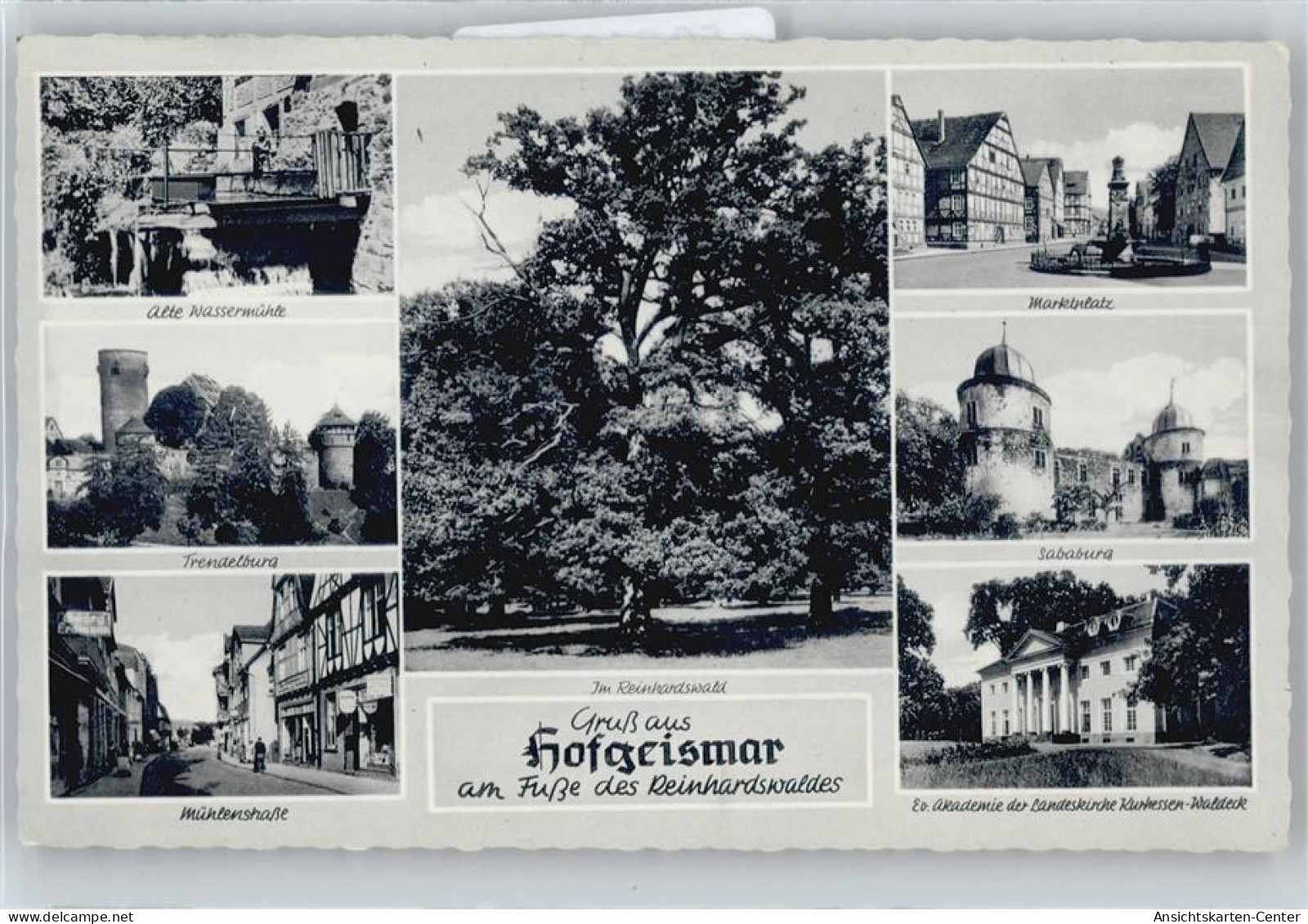 50544894 - Hofgeismar