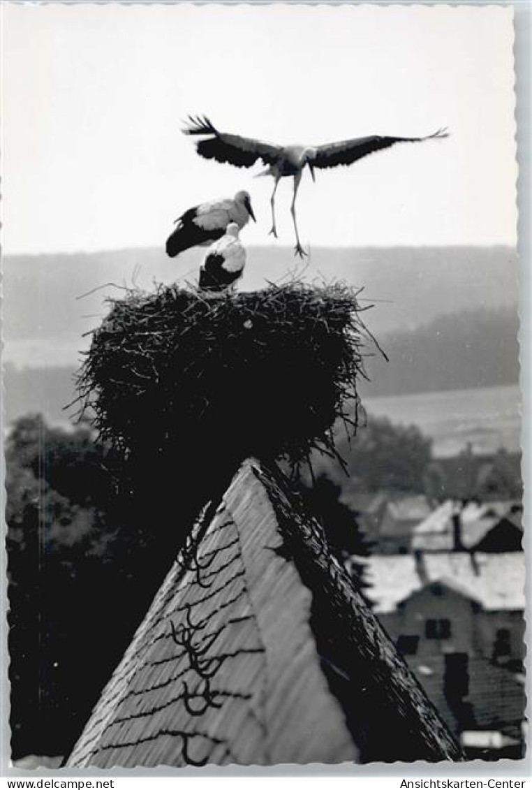 50547091 - Lich , Hess