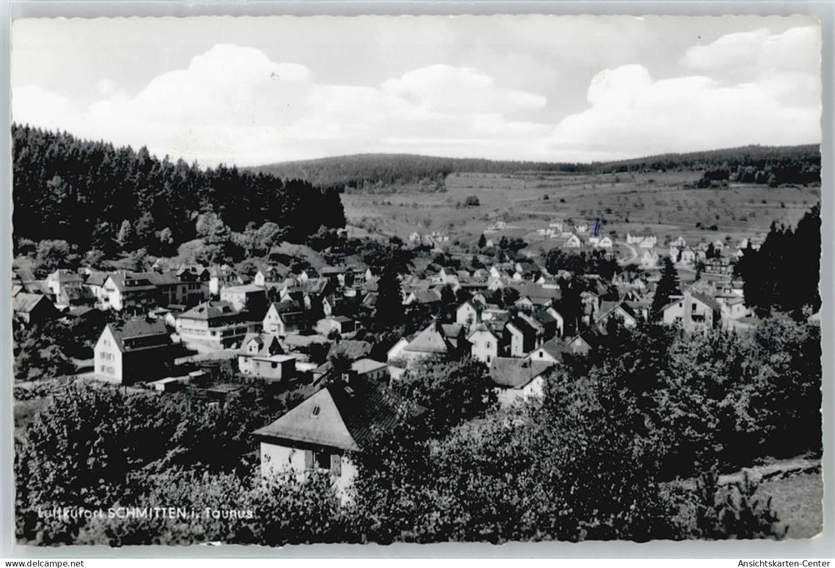 50547152 - Schmitten , Taunus