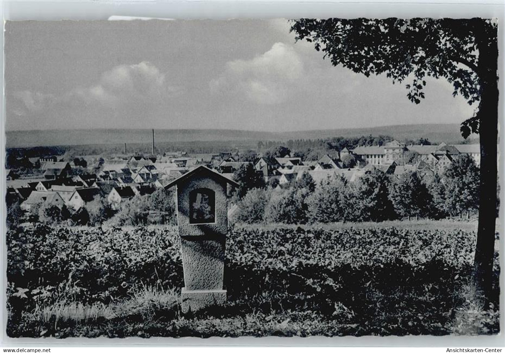 50549994 - Bad Wurzach