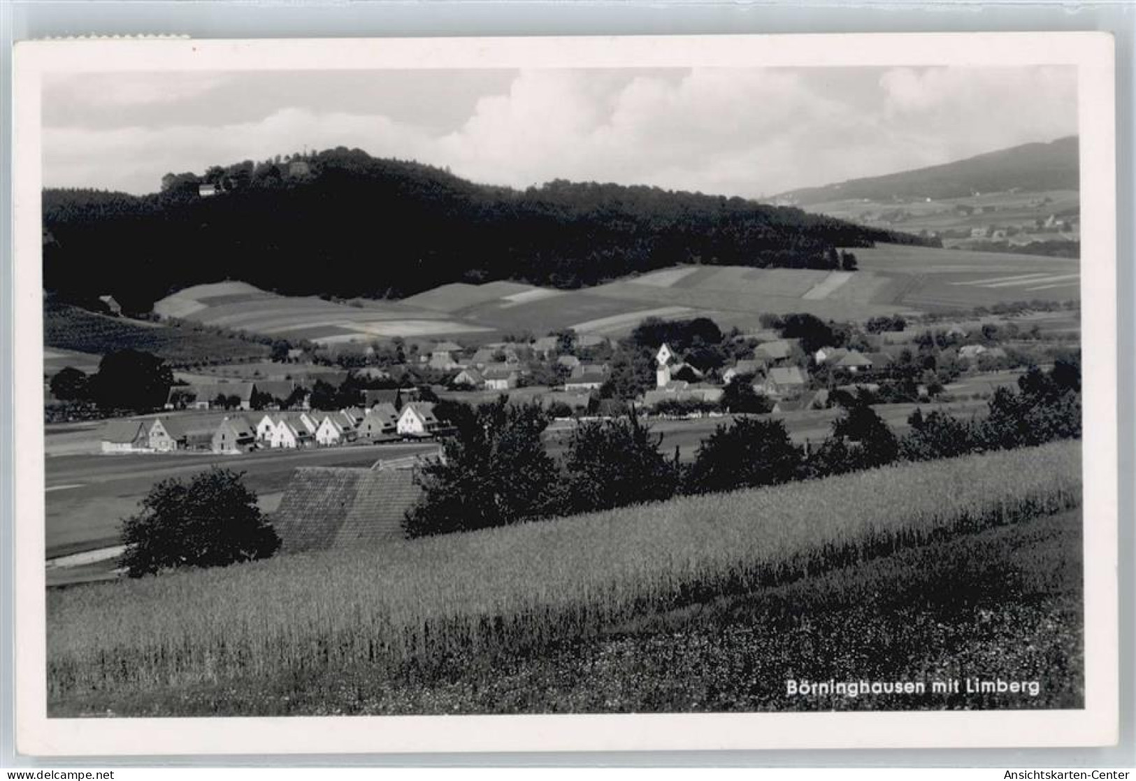 50550188 - Boerninghausen