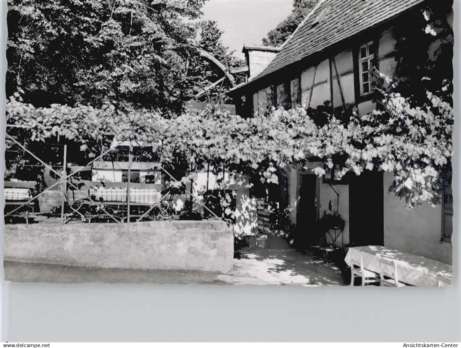 50553889 - Bad Bergzabern