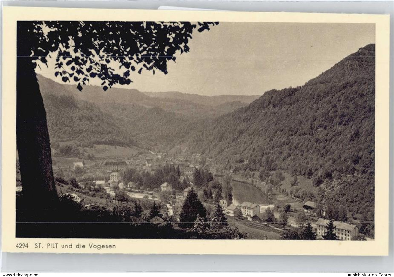 50556036 - Saint-Hippolyte