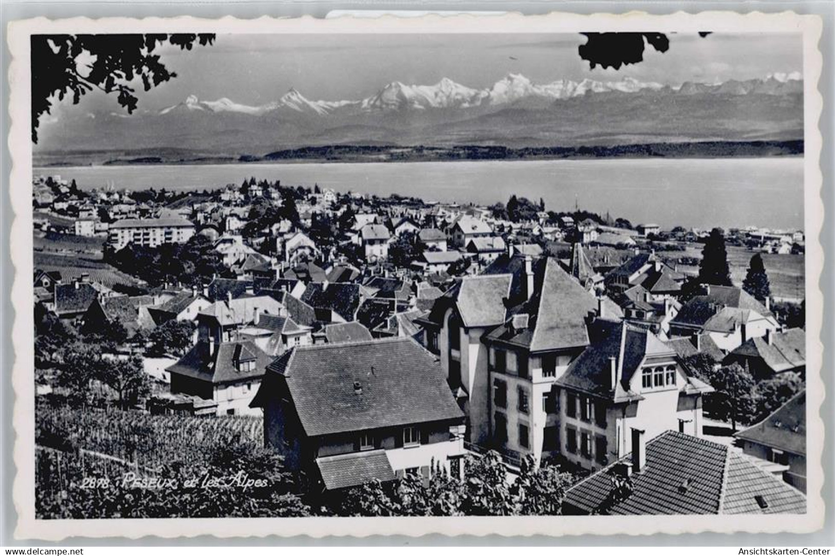 50556465 - Peseux