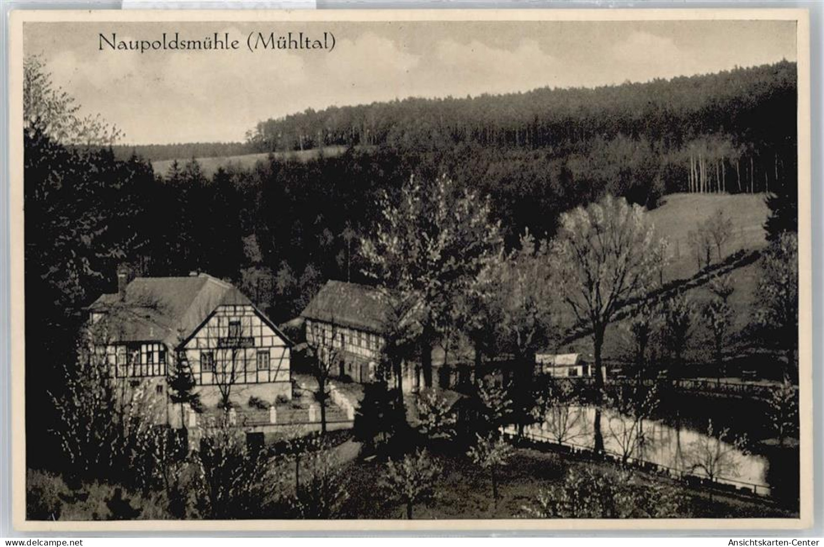 50557741 - Eisenberg , Thuer