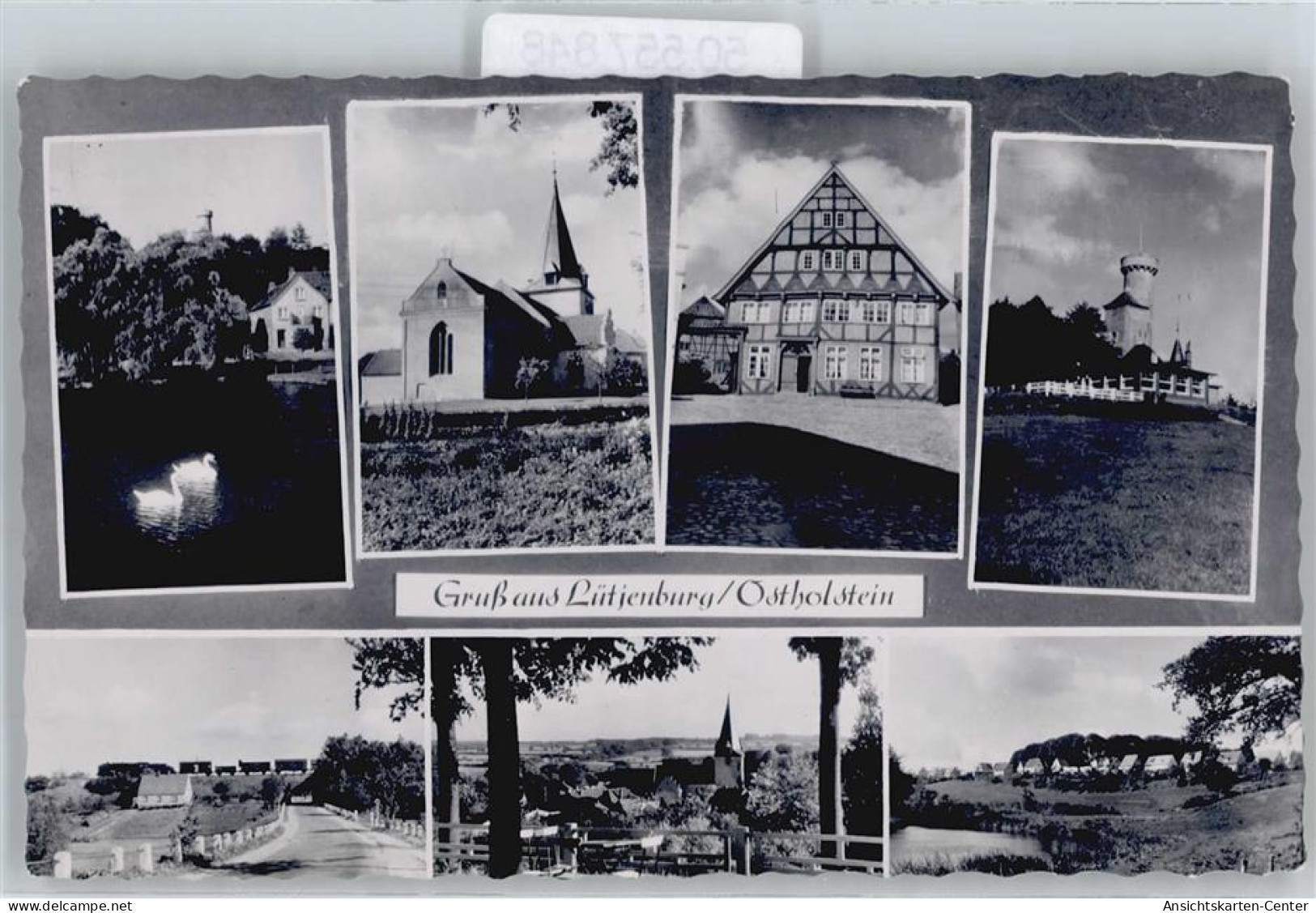 50557848 - Luetjenburg , Holst