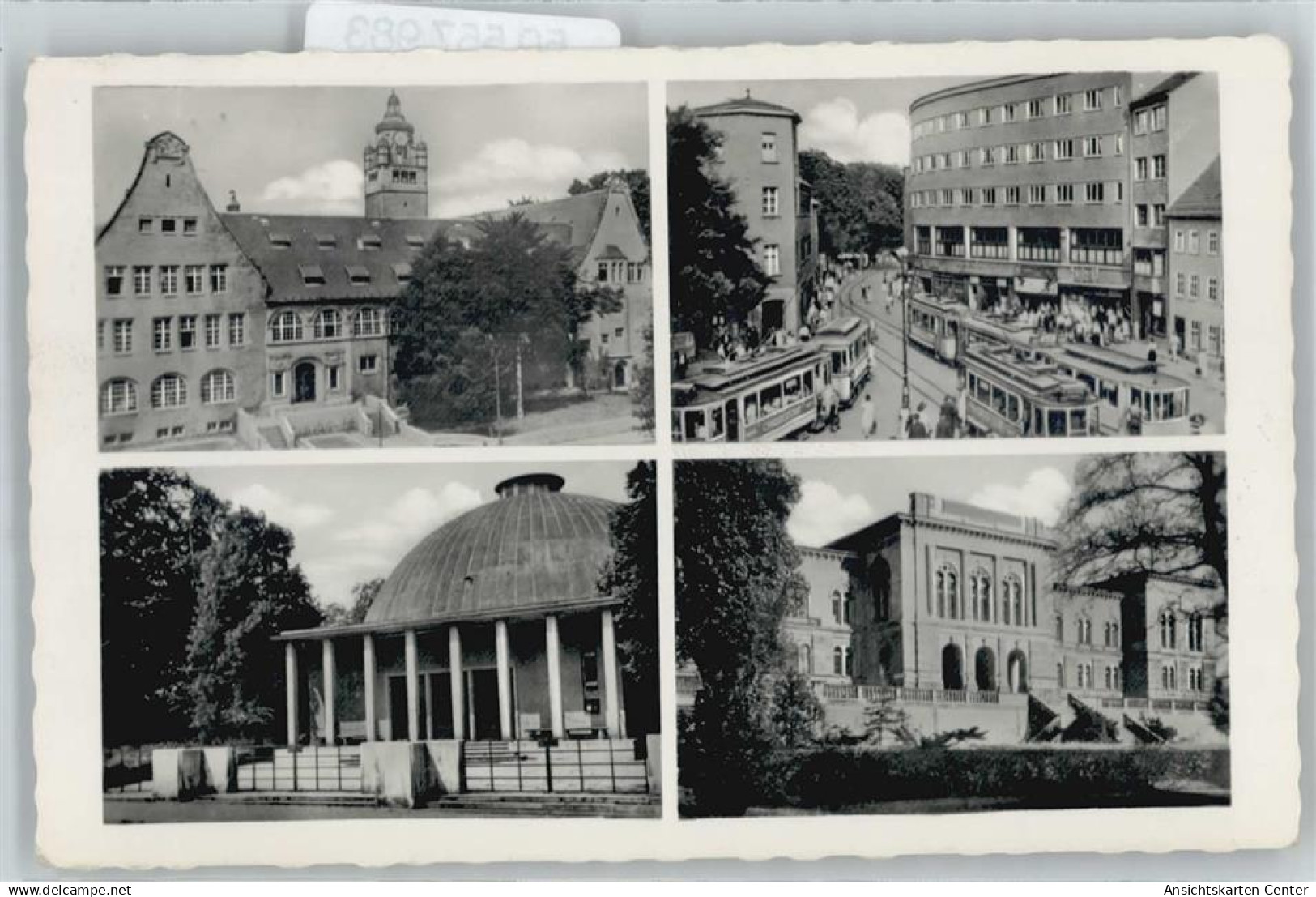 50557983 - Jena