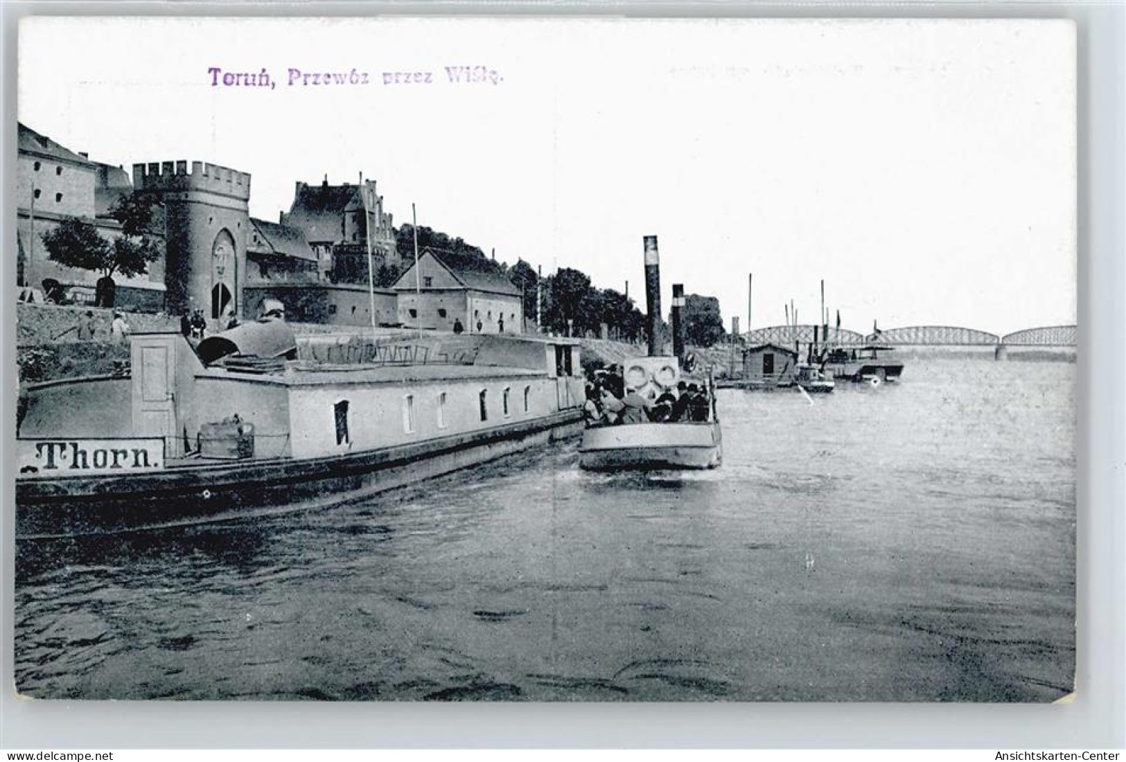 50558745 - Thorn Torun