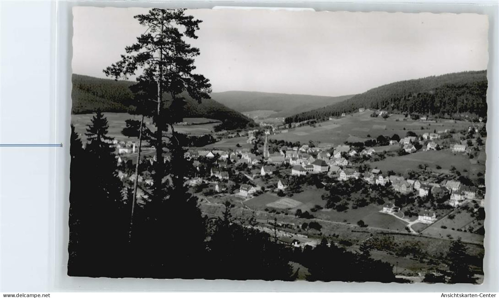 50560470 - Baiersbronn