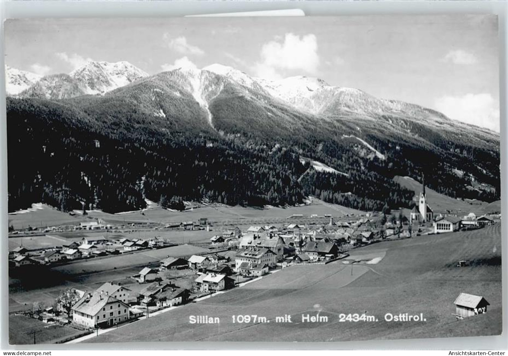50561233 - Sillian