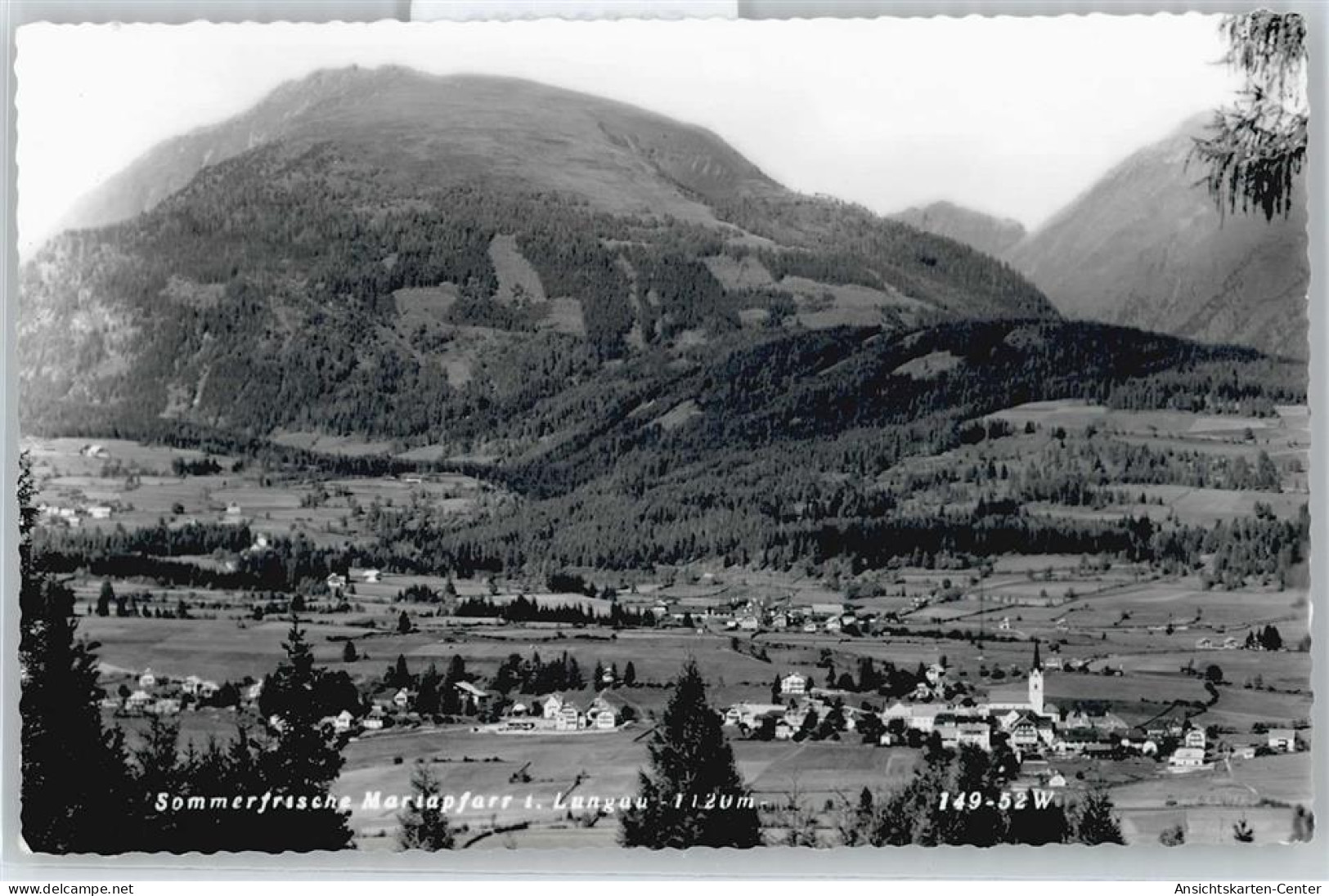 50561250 - Mariapfarr