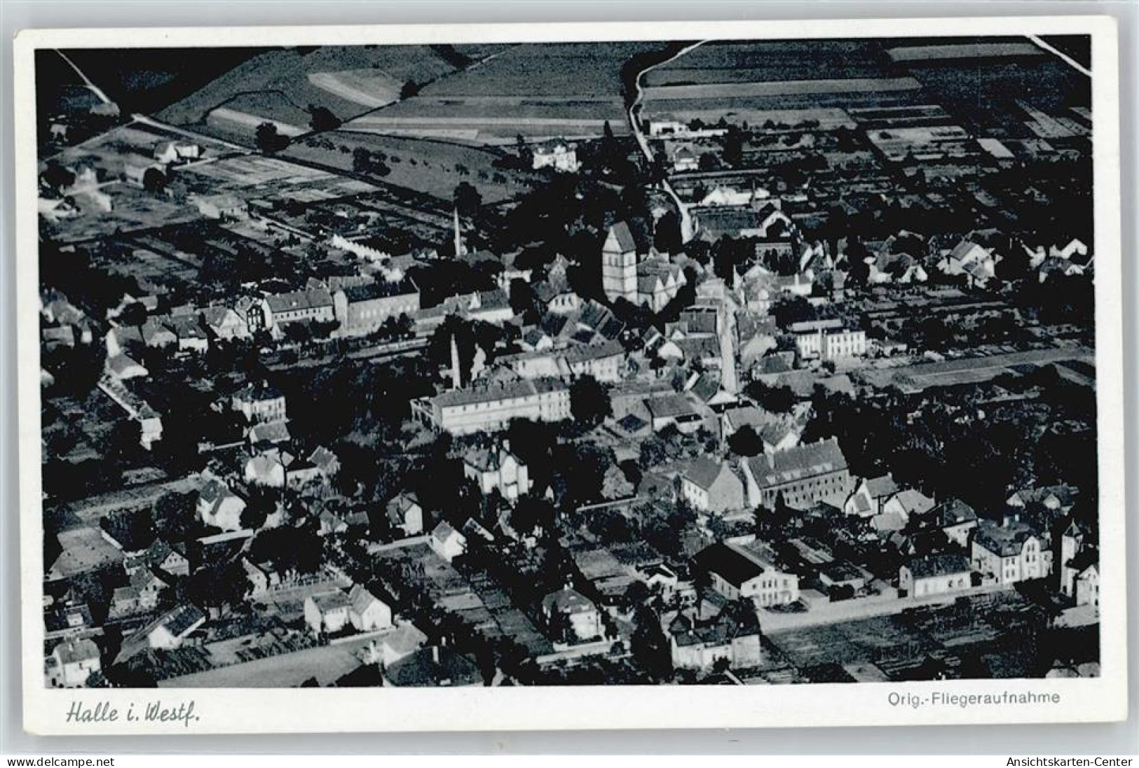 50561419 - Halle (Westf.)