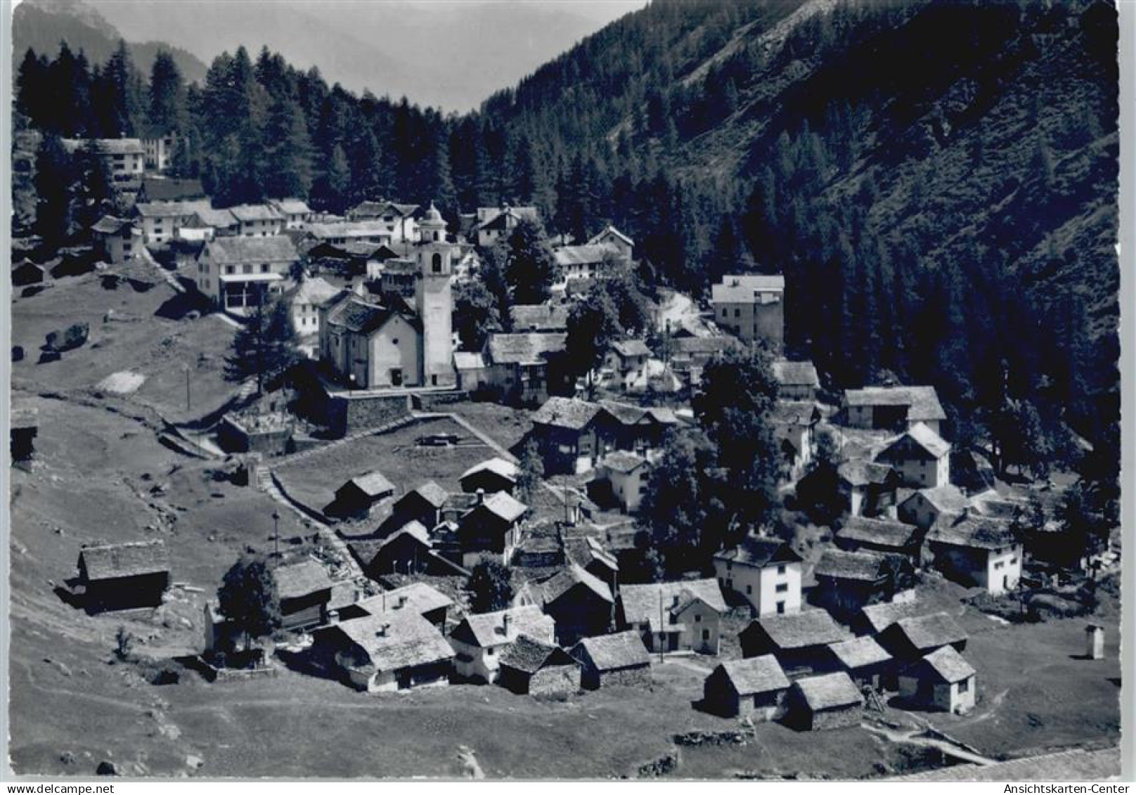 50566644 - Bosco/Gurin