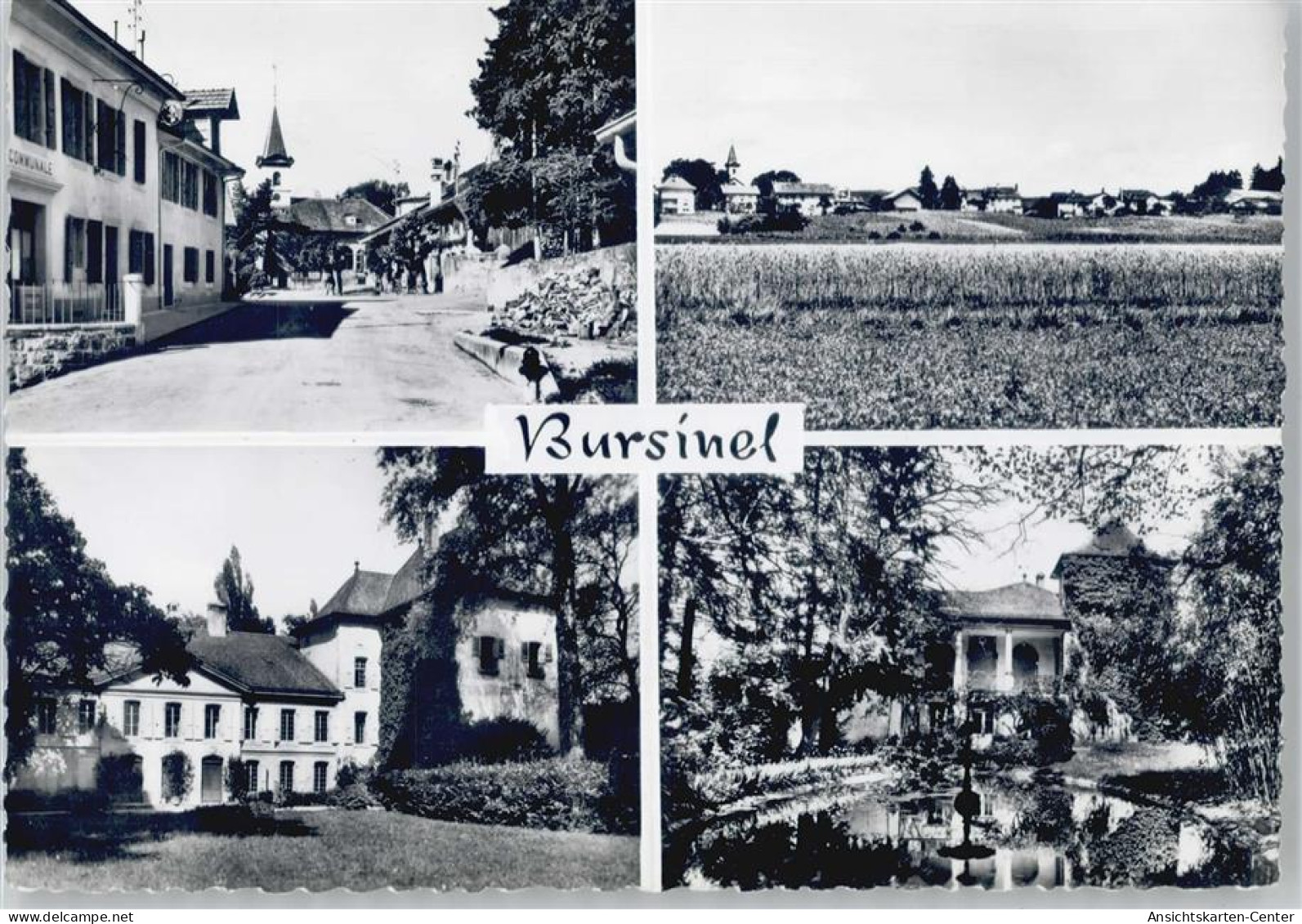 50567149 - Bursinel