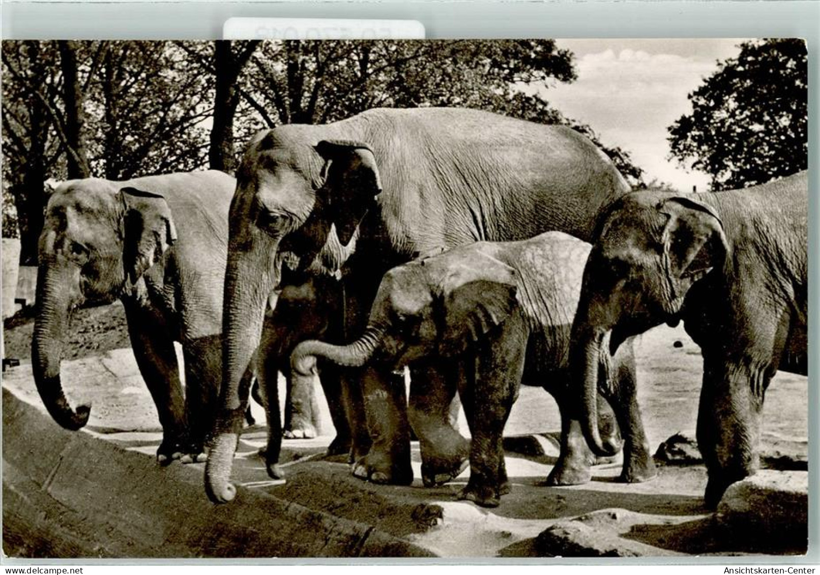 50570018 - Stellingen