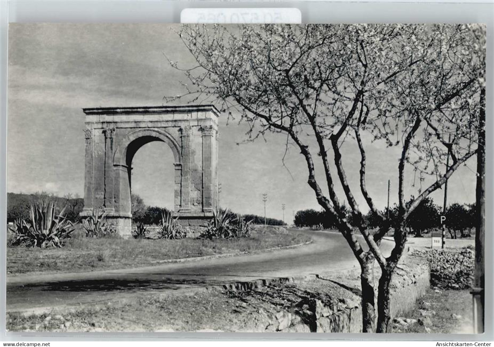 50570065 - Tarragona