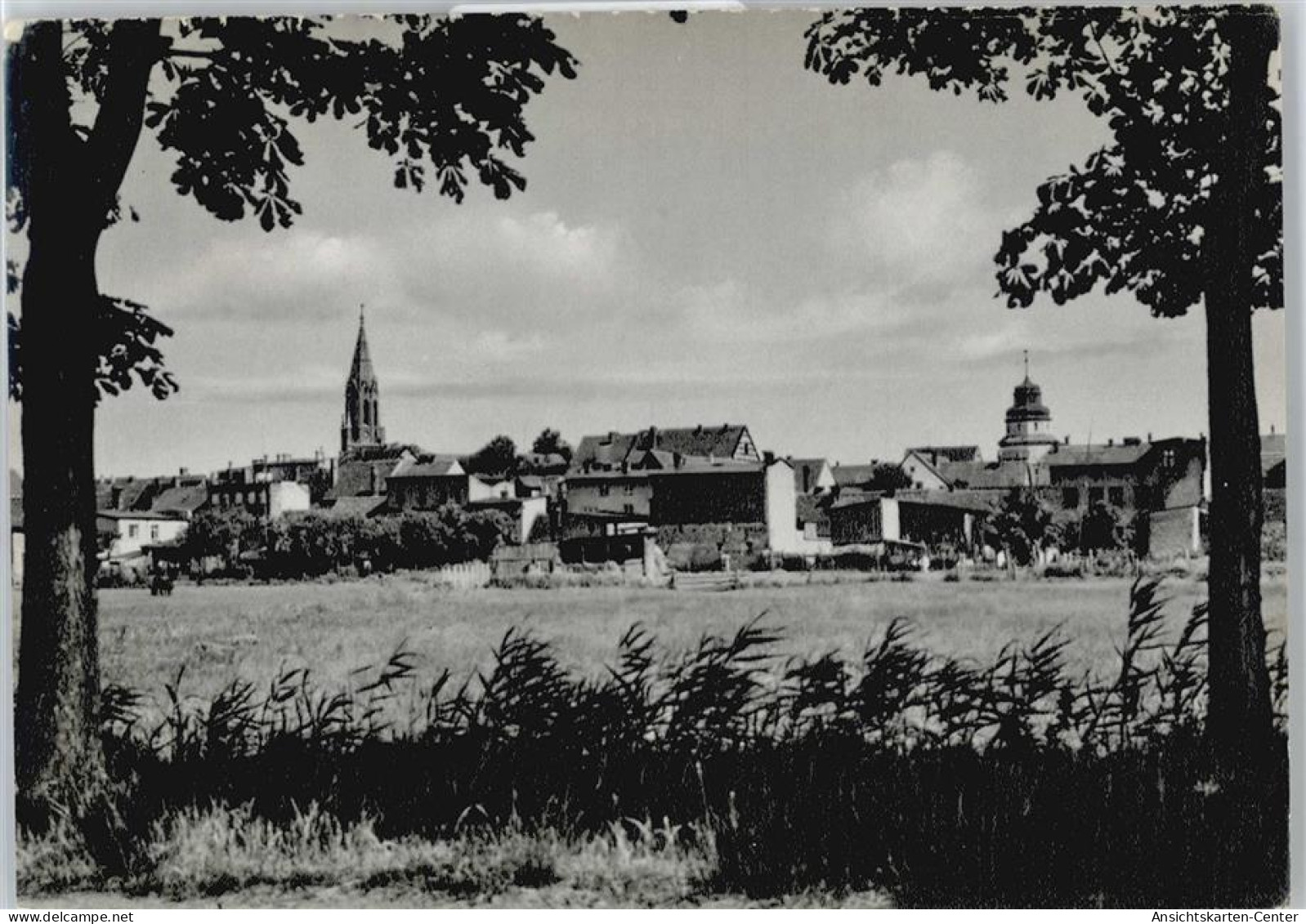 50577803 - Ueckermuende