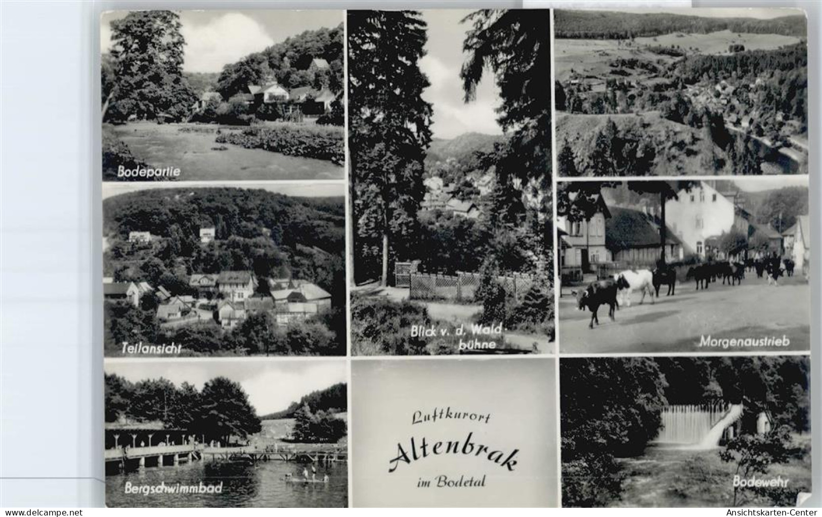 50579731 - Altenbrak