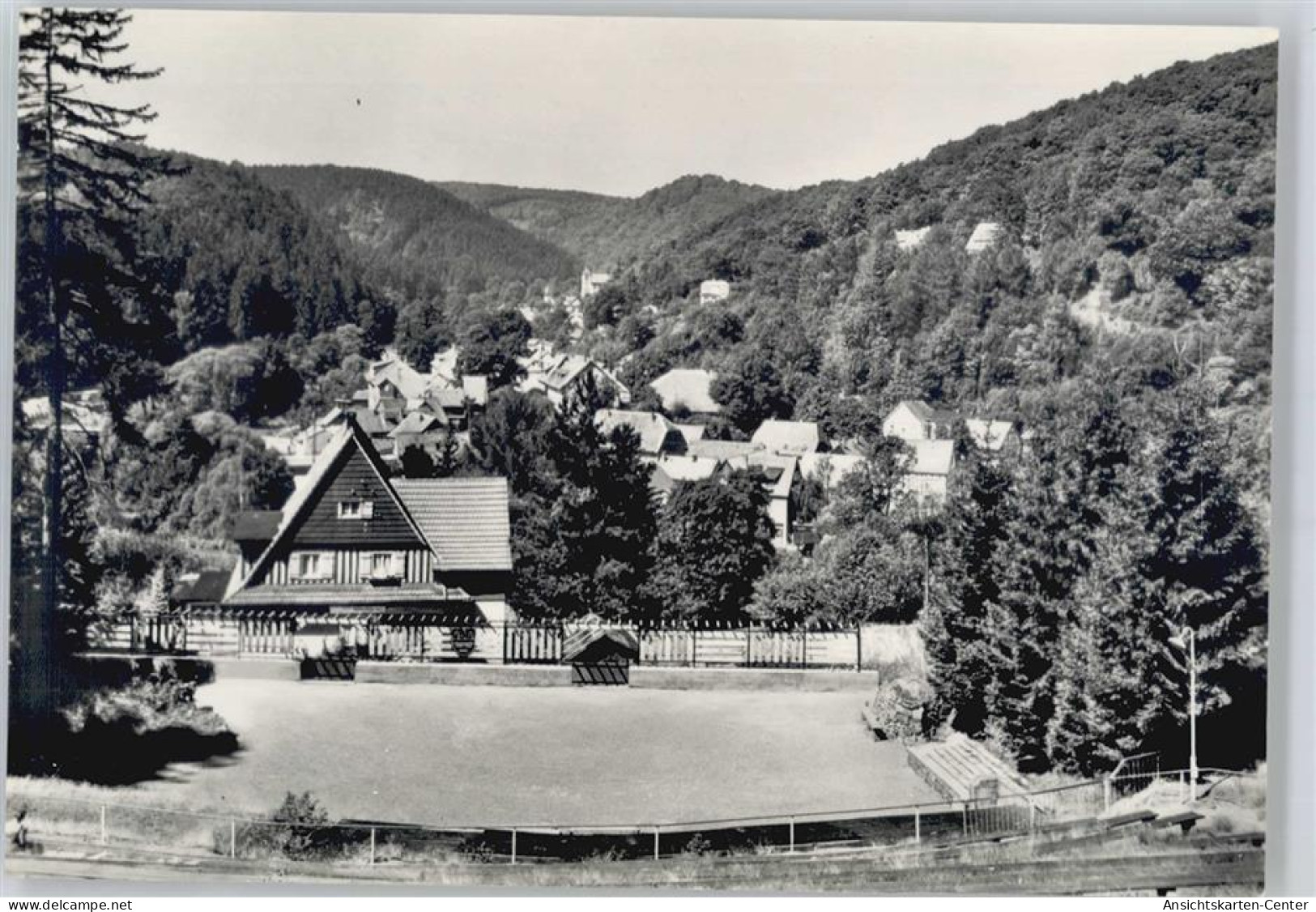 50579872 - Altenbrak