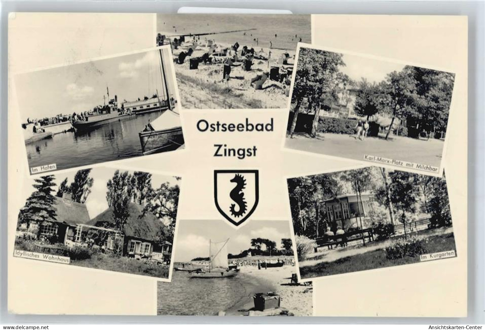 50582419 - Zingst , Ostseebad