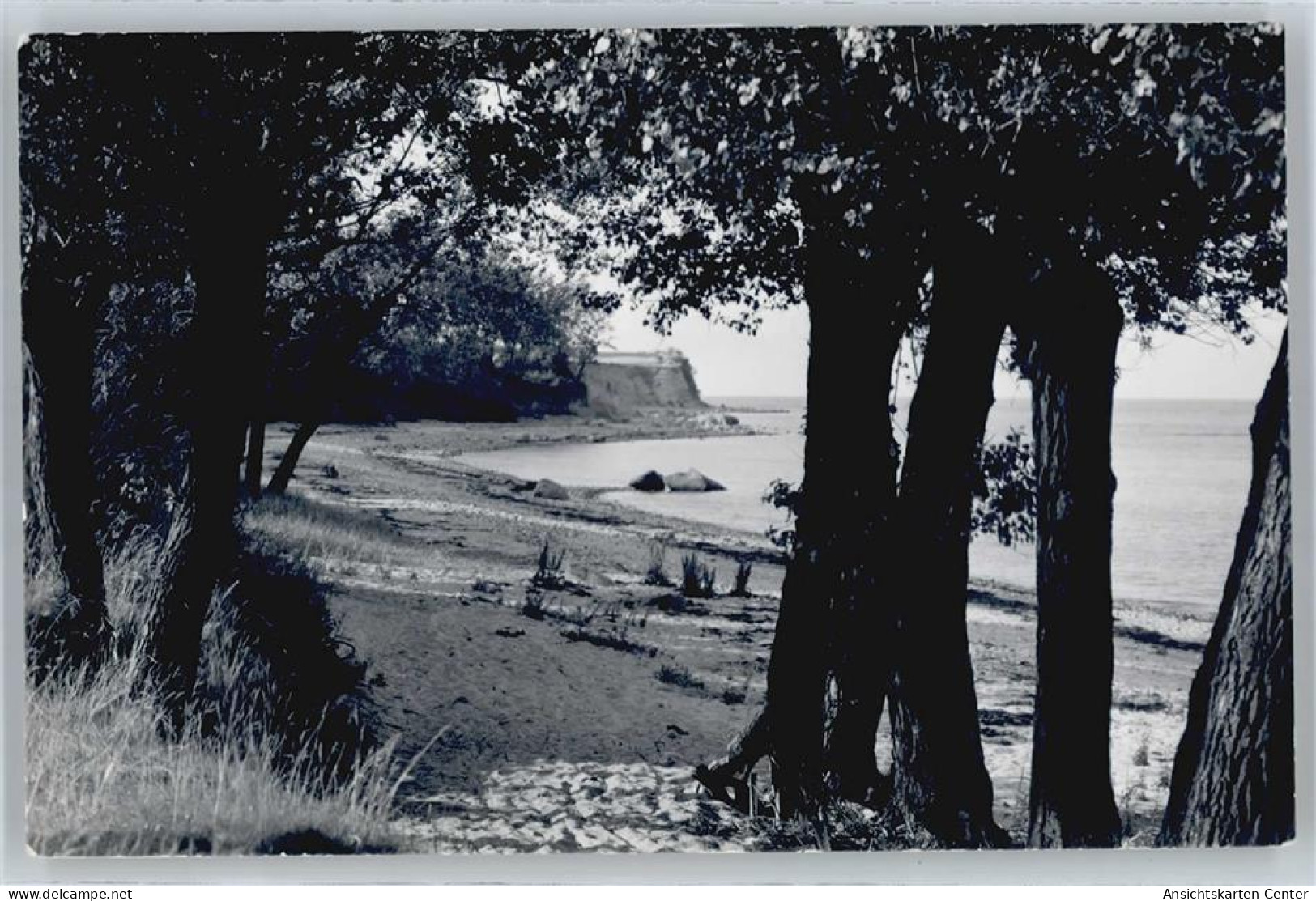 50582666 - Ostseebad Boltenhagen