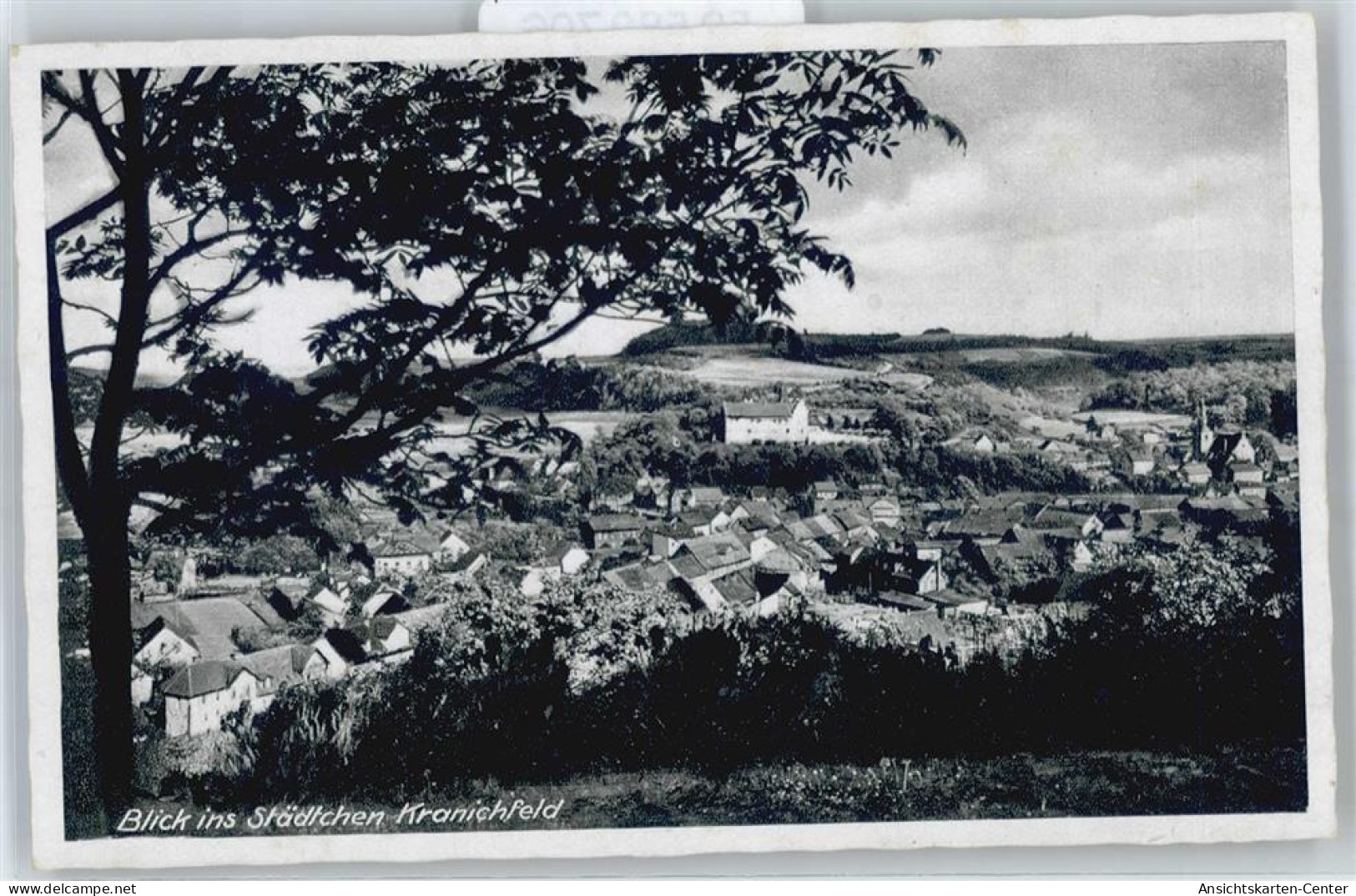 50582706 - Kranichfeld